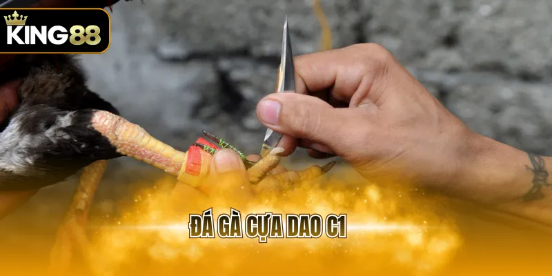 đá gà cựa dao c1