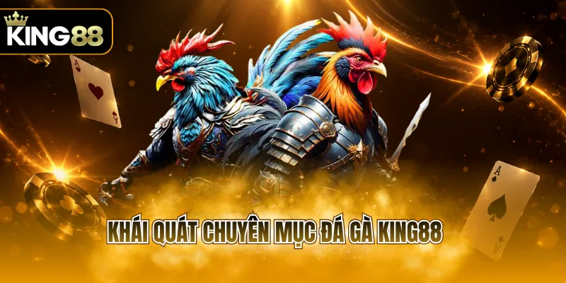 Khái quát chuyên mục đá gà KING88