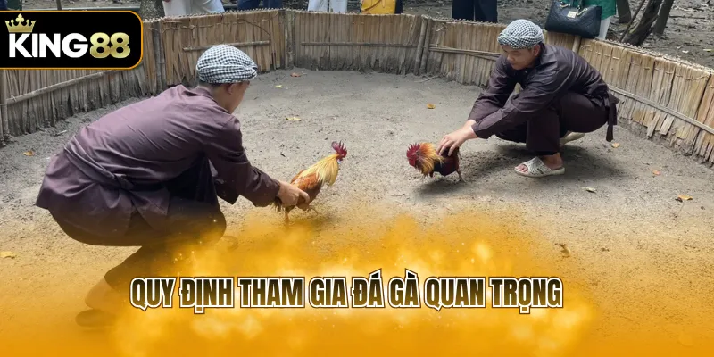 Quy định tham gia đá gà quan trọng